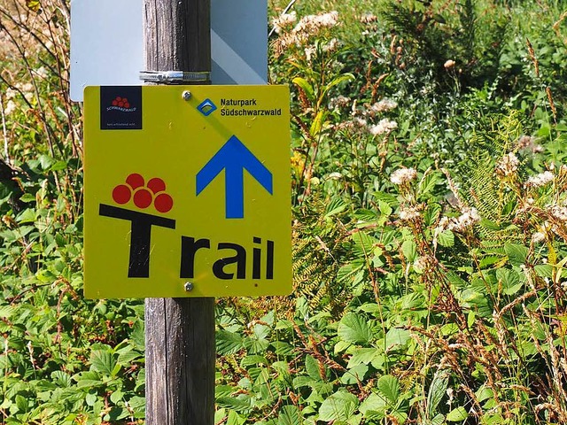 Diese Wegweiser signalisieren Radlern, wenn ein Stck Trail folgt.  | Foto: Susanne Gilg