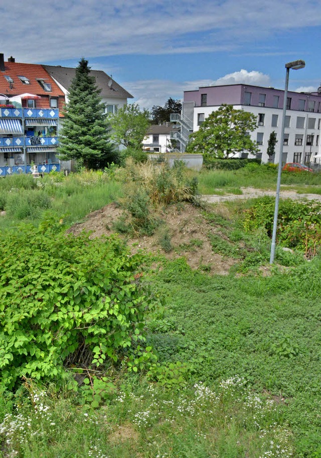 Auf diesem Grundstck am Messeplatz so...rwaltungsbau der Sparkasse entstehen.   | Foto: Lauber