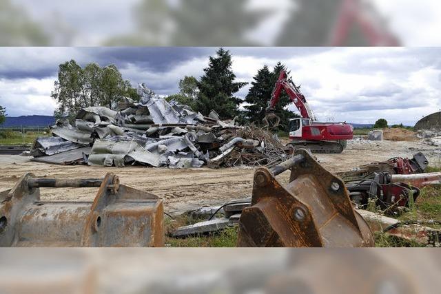 Holz 100 fhlt sich nicht erwnscht