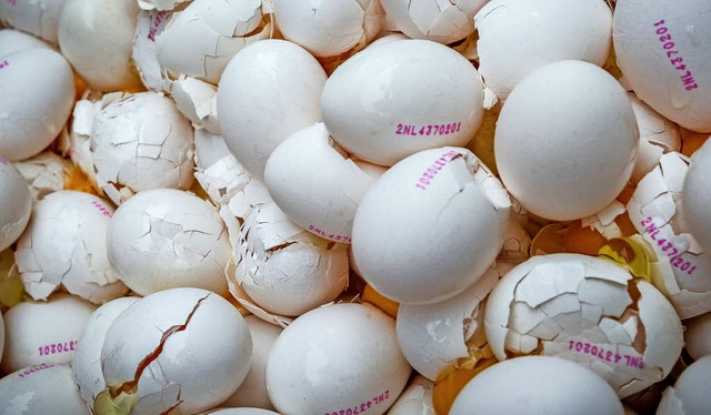 Im Auftrag der hollndischen Behrden ... weil sie mit Fipronil belastet sind.   | Foto: dpa