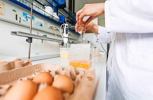 Eier aufschlagen, in eine Schssel geb...ebensmittelchemikern Eier auf Fipronil  | Foto: dpa