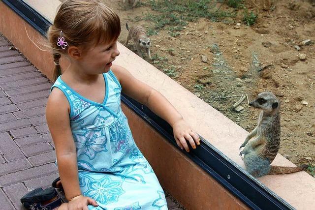 Fotoalbum: Tiergehege im Lahrer Stadtpark