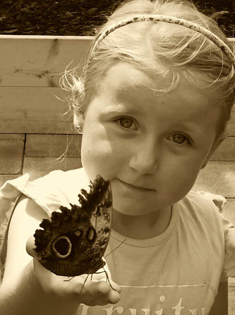 Tiere: Dieses Bild ist bei einem Besuch der Schmetterlings-Ausstellung von Blumen Maier in Wehr-Brennet entstanden. Es zeigt  Tochter Maxima von Alexandra Hulin-Doll mit einem Riesenschmetterling.