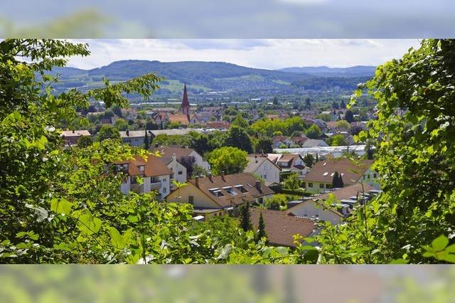 Im Hangwald gibt es viel zu entdecken