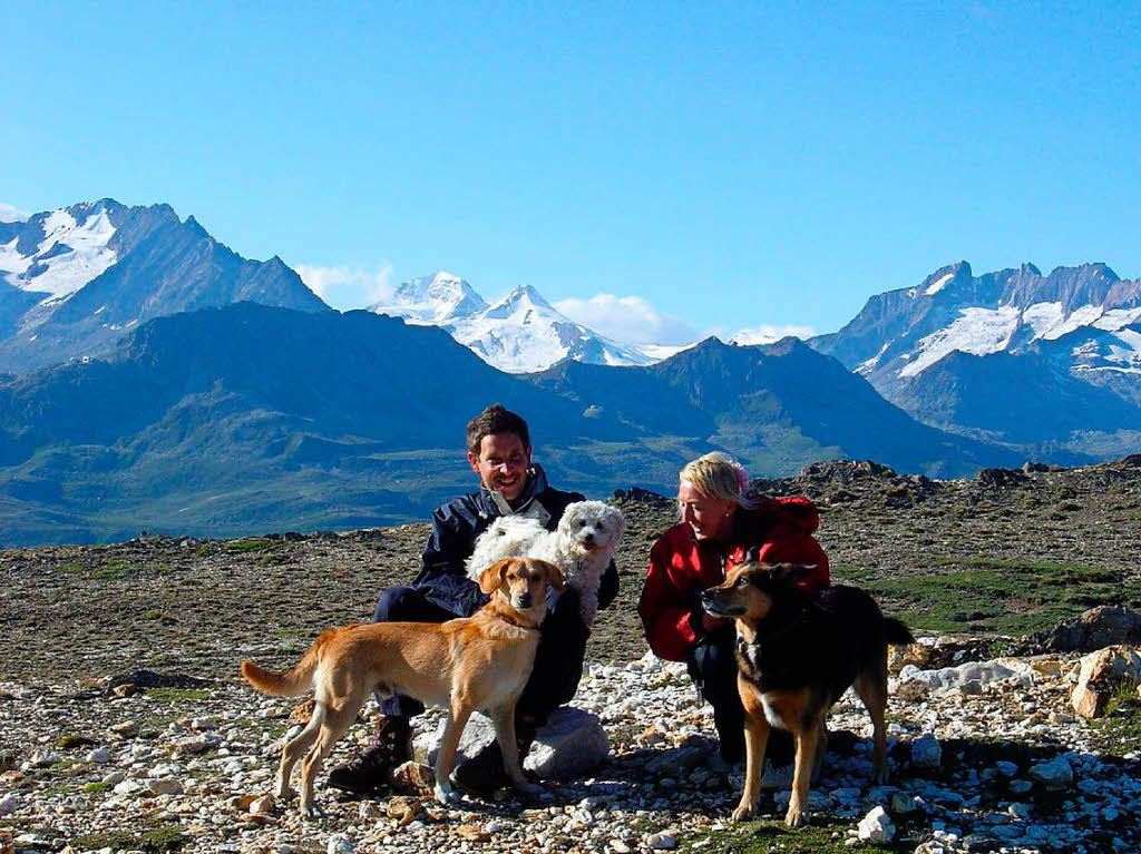 Tiere: In 2.000 m Hhe freuen sich Mensch und Hund, dass sie die Hhe erreicht haben und die Hhenluft und den Blick auf das unter ihnen liegende Rhonetal imWallis  und den Blick auf die italienischen Alpen genieen knnen. W. Nuss, Rhf