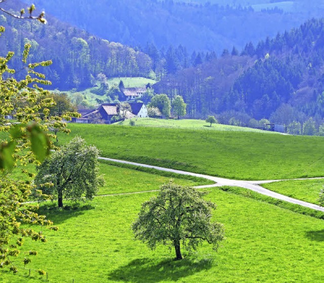 Wunderschn ist die Landschaft  zwisch...e werden im Ortschaftsrat verhandelt.   | Foto: Schmidt