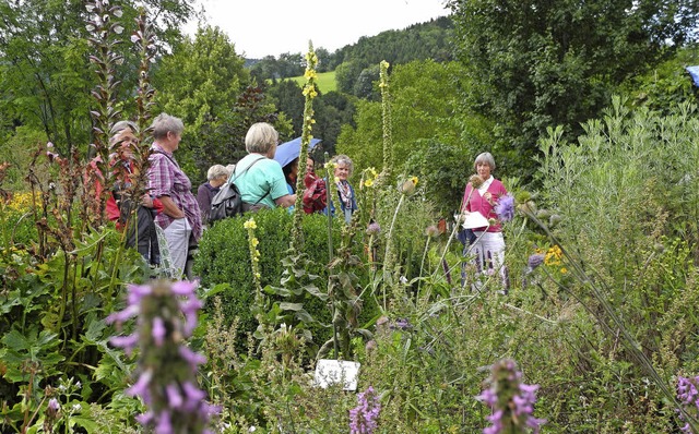 Fhrung durch den Oberrieder Krutergarten   | Foto: Sophia Hesser