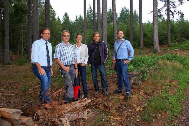 Schuttertal baut neuen Rundweg zur Erdgeschichte