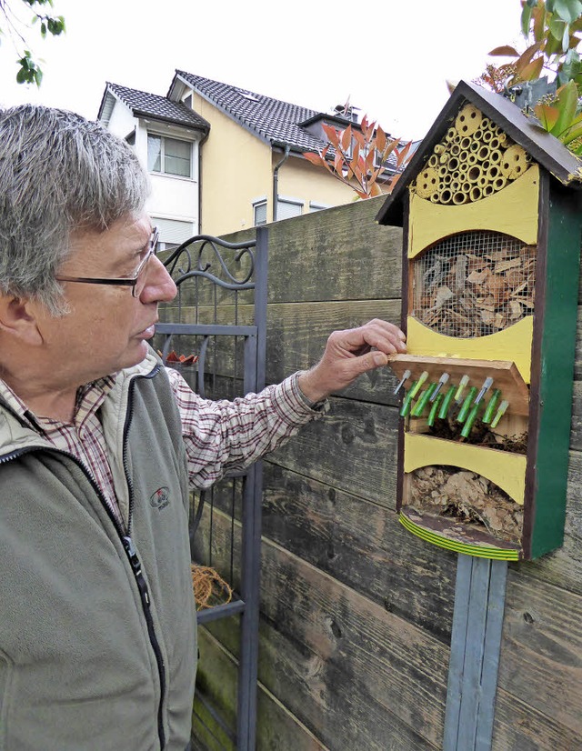 Klaus Bttger vom BUND zeigt, wie man Wildbienen helfen kann, um zu berleben.   | Foto: Heinz Scholz