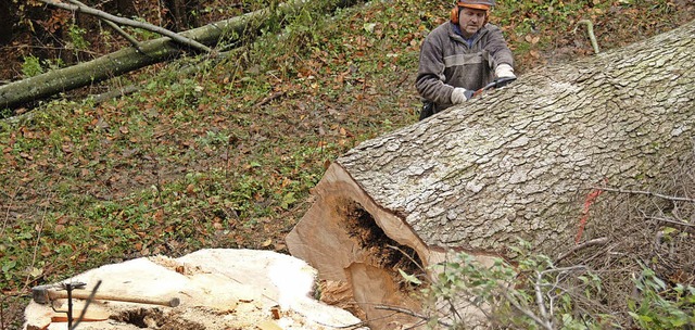 Holz ist ein wichtiger Wirtschaftsfakt... im Mllheimer Gemeinderat deutlich.    | Foto: Volker Mnch