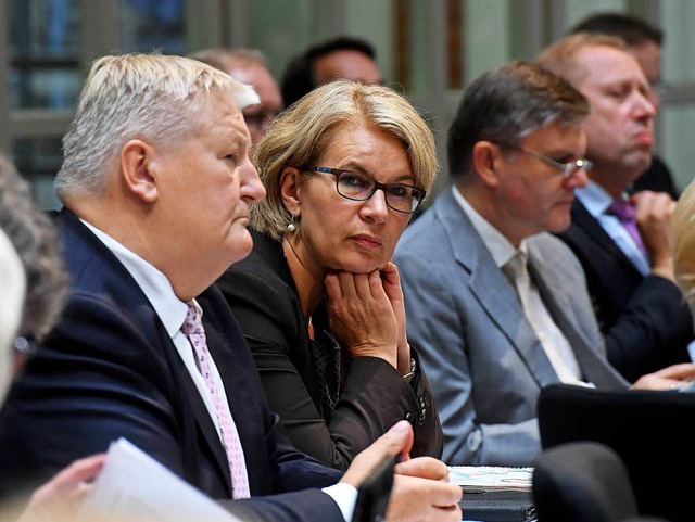 Elke Twesten, die von den Grnen zur C...im Landtag in den Reihen der CDU Platz  | Foto: dpa