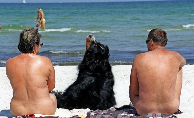 Der Hund darf hier  Fell tragen: Nackt... ein immer seltener werdenden Anblick.  | Foto: dpa