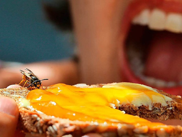 Mitesser: Wer drauen vespert, muss sich vor Wespen in Acht nehmen.  | Foto: dpa