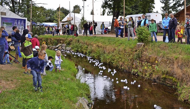 Das Entenrennen ist eine der groen Attraktionen beim Bachfest in Rtenbach.   | Foto: Liane Schilling