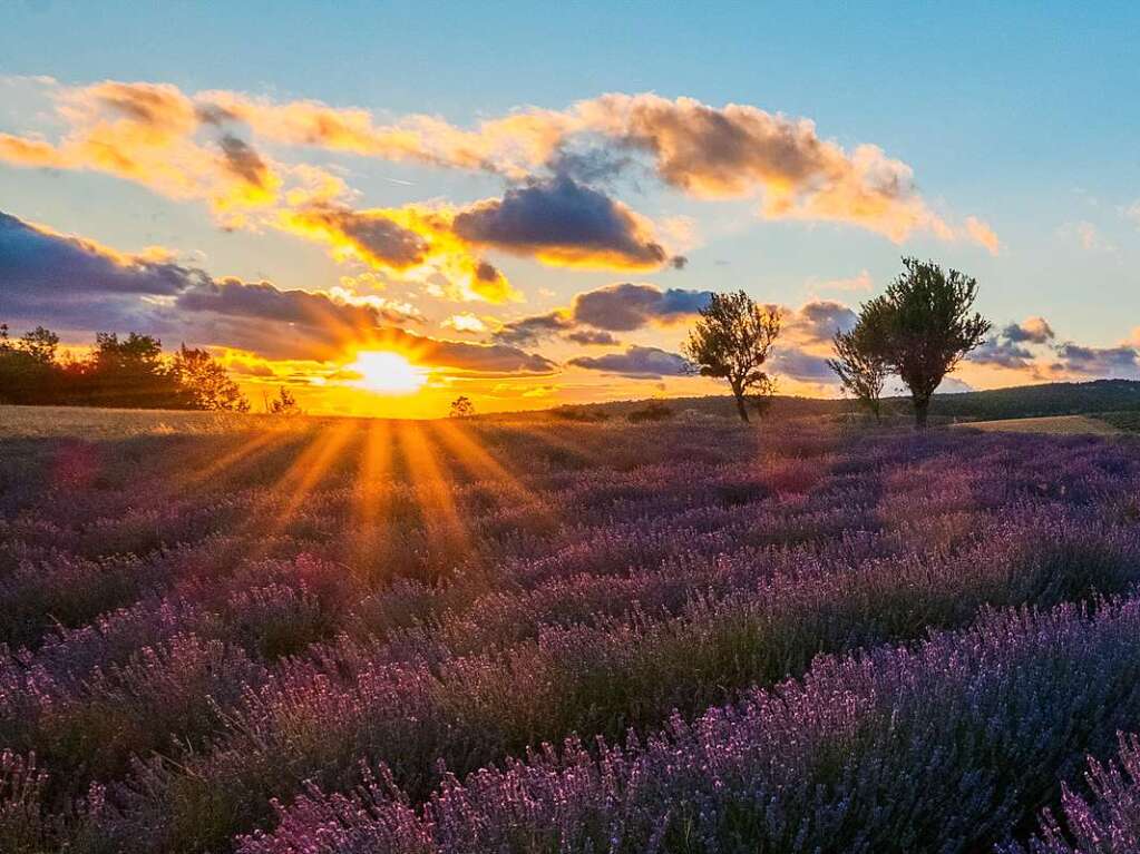 Landschaft: Sonnenuntergang in der Provence. Christian Kammans aus Grenzach-Wyhlen war so (lange) fasziniert, dass sich die Schranke des Campingplatzes nicht mehr ffnete. Wer zu spt kommt ...