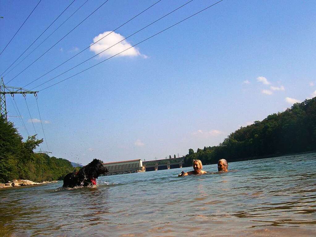 Tiere: "Rheinliebe". An den sommerlichen Tagen freut sich  Hund Bronko mit Werner und Hannelore Nuss aus Rheinfelden  beim Kraftwerk Schwrstadt ber das khle Nass. Aufgenommen mit einer Canon IXUS 8xIS