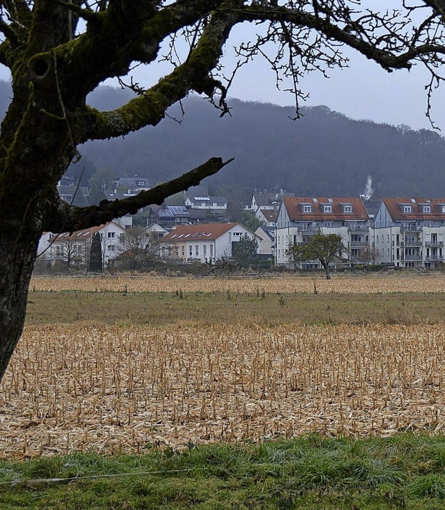 Bauen &#8211; hier das Neubaugebiet  B...  bleibt in Lrrach das groe Thema.    | Foto: Archivbild: Trenz