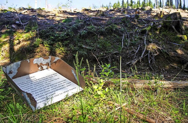 Beim Endenburger Waldlehrpfad sind wah... der Hinweisschilder zerstrt worden.   | Foto: Ralf Brglin