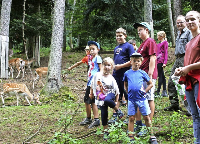 Martin Stterlin lie die Langenauer F...halb des Dorfes sein Damwild fttern.   | Foto: Ralph Lacher