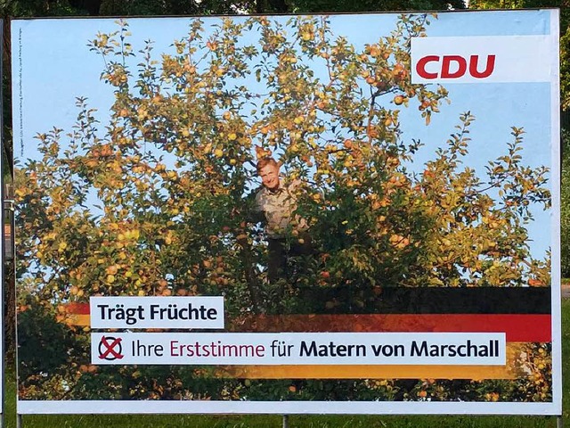 Ein Abgeordneter auf Abwegen: Matern von Marschall im Apfelbaum  | Foto: Judith Fiedler