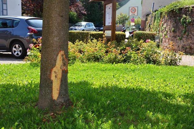 Unbekannte schlagen vor dem Prinzengarten zu