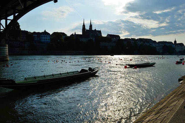 Im Abendlicht zeigt sich Basel den vorbeitreibenden Schwimmern.  | Foto: Tom Grein