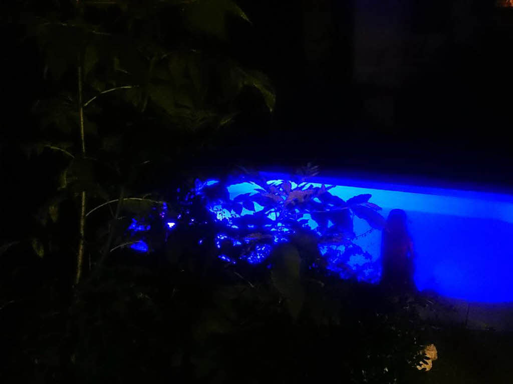 Verona Teuchert: Unser Pool bei Nacht in Eimeldingen.