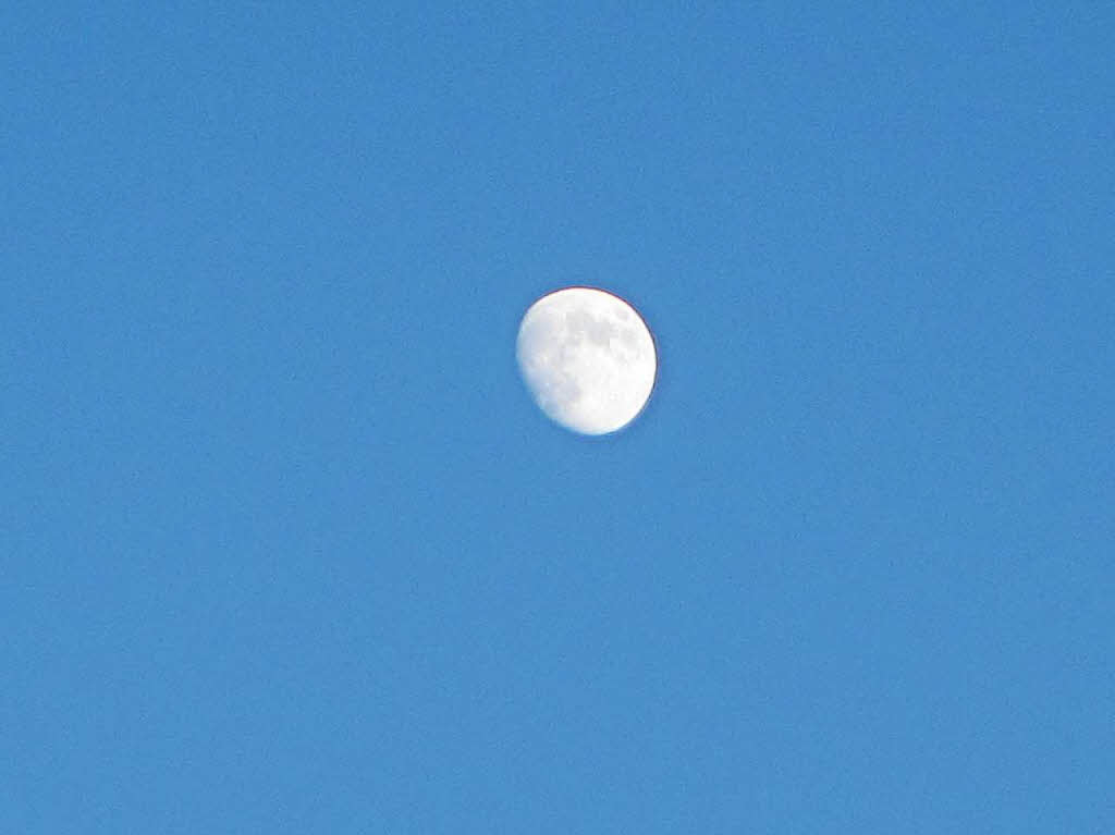 Martina Witter: Das Foto zeigt einen blauen Himmel und den fast vollen Mond, der schn von der Sonne beleuchtet wurde.  Das Foto habe ich Anfang Juli in Lrrach von meiner Terrasse am frhen Abend gemacht, als es noch taghell war.