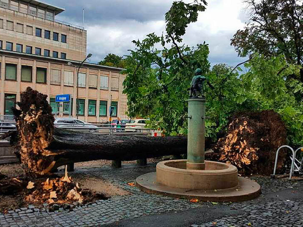 Auch vor dem C&A-Gebude in der Innenstadt ist ein Baum umgefallen.