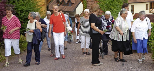 Die Frauen besuchten das Mahlberger Schloss.  | Foto: privat