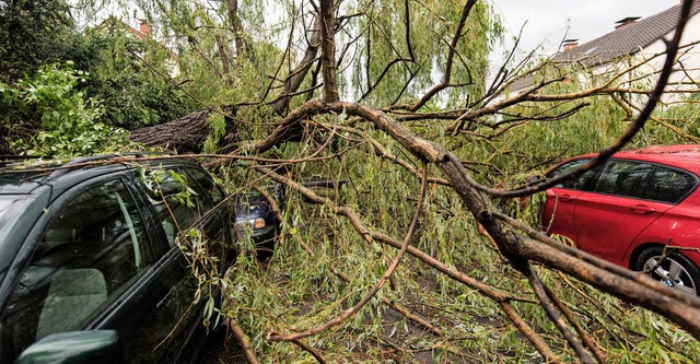 Im Erlenweg im Stadtteil  Haslach traf...Wagen sa, erlitt dabei einen Schock.   | Foto: Patrick Seeger/DPA