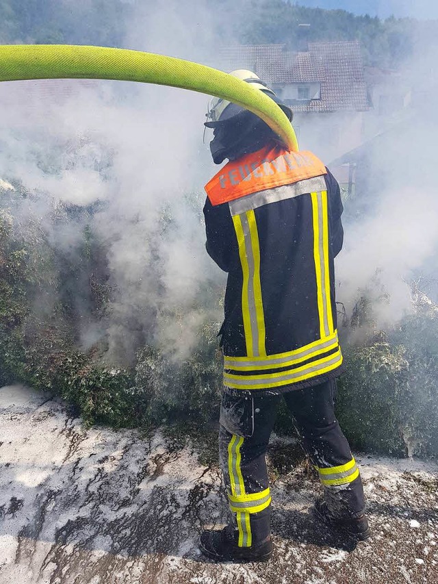 Die Feuerwehr Wehr konnte den Heckenbrand schnell lschen.  | Foto: Feuerwehr Wehr