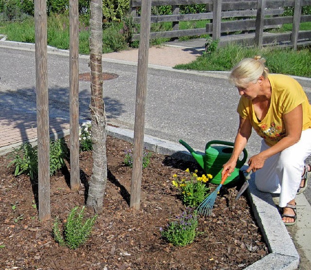 Die Anwohnerin Claudia Kutscheidt hat Sommerblumen und Kruter gepflanzt.   | Foto: Stadtverwaltung