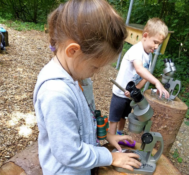 Kleine Marcher Naturforscher mit Mikroskopen   | Foto: Bachmann-Goronzy