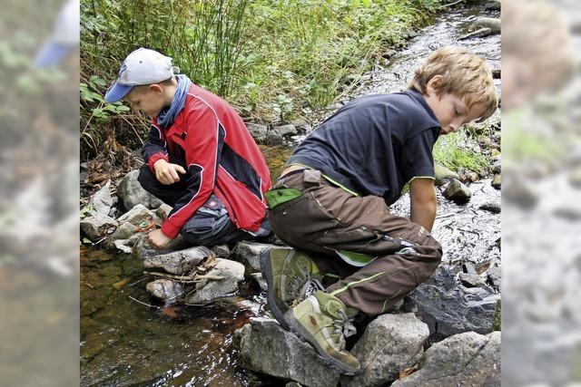 Kinder erforschen das Leben in Bchen