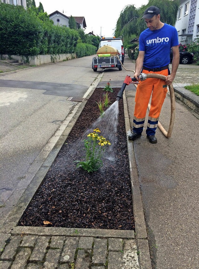 Neu bepflanzte Staudenbeete in Buchholz.  | Foto: Stadt Waldkirch