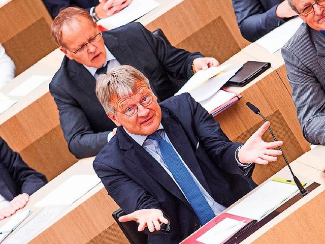 Der AfD-Fraktionsvorsitzende Jrg Meut...ner Sitzung des Landtags in Stuttgart.  | Foto: dpa