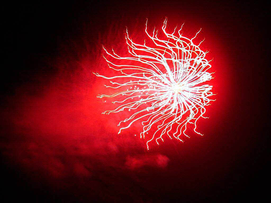 Gertrud Anders: Sieht aus wie eine Qualle - ist aber ein Feuerwerk am Lago Maggiore im Oktober 2013