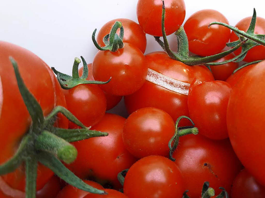Catharina Mller: Tomaten mit Makel