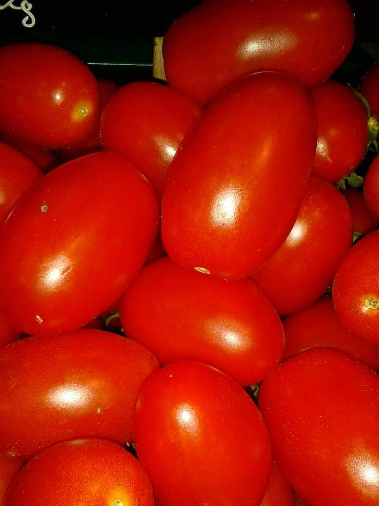 Susanne Steinhaus: Sommerzeit - Tomatenzeit