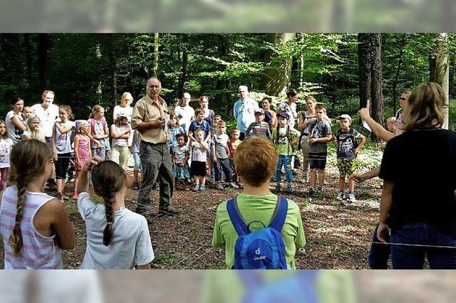 Juniorforscher im Wald