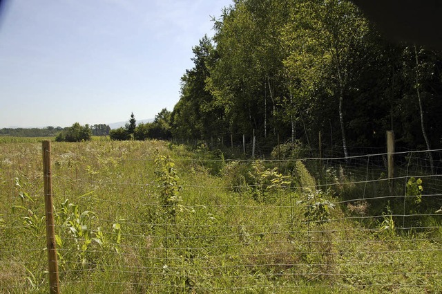 Wiesen und Wald prgen das Gesicht der...wertes ber Flora und Fauna erfahren.   | Foto: Gerhard Walser