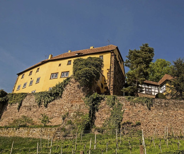 Wo  das Schloss ber der Stadt thront,...arauf wird am Rmerradweg hingewiesen.  | Foto: DEC