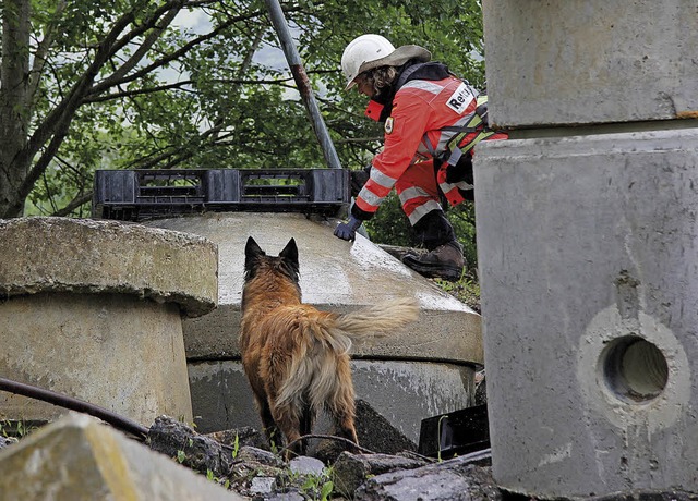 Ein Team der Rettungshundestaffel Ober...r Personensuche auf einem Trmmerfeld.  | Foto: RSHO