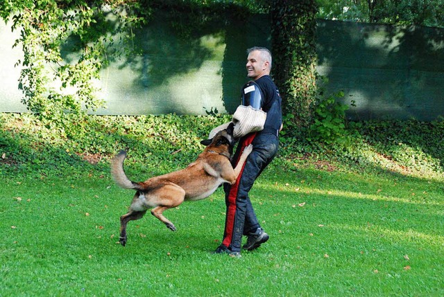 Schutzhundhelfer Armando Schmidt lsst...platz mit Freude in den rmel  beien.  | Foto: Maja Tolsdorf