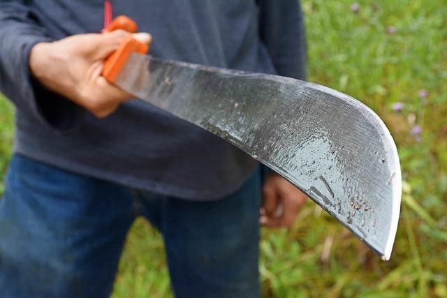 Frank Mehlin kmpft mit einer Machete gegen Springkraut