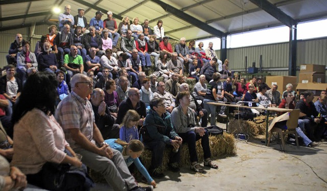 Auf Strohballen verfolgen die Besucher den Kinofilm.   | Foto: Erika Sieberts