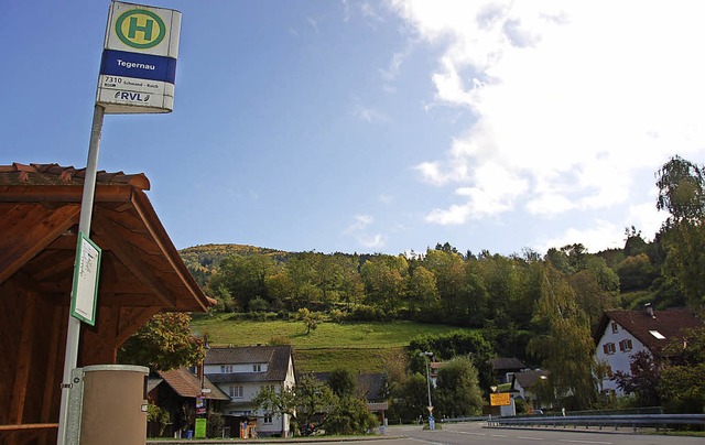 Beim Diskussionsabend zum ffentlichen...ige Brger(innen) das Angebot nutzen.   | Foto: Dirk Sattelberger