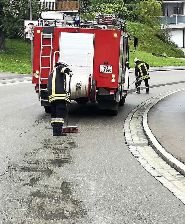 Mit 13 Mann war die Feuerwehr Bonndorf...itigen, die sich durch die Stadt zog.   | Foto: Thor