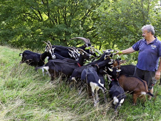 Ziegenhaltung hilft bei der Offenhaltung der Landschaft.   | Foto: Karin Heiss